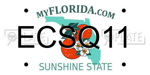 ECSQ11 Florida License Plate