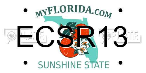 ECSR13 Florida License Plate
