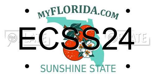ECSS24 Florida License Plate