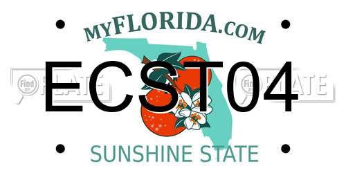 ECST04 Florida License Plate