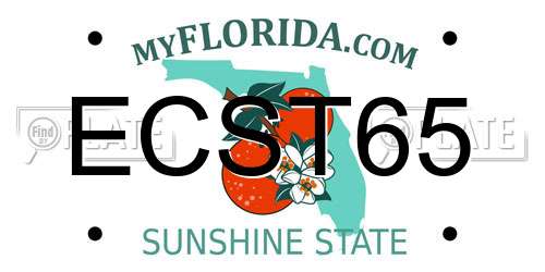 ECST65 Florida License Plate