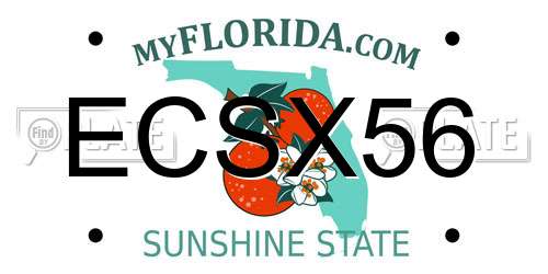 ECSX56 Florida License Plate