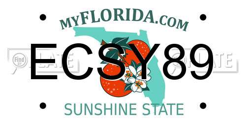 ECSY89 Florida License Plate