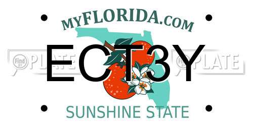 ECT3Y Florida License Plate