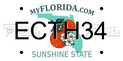 ECTH34 Florida License Plate