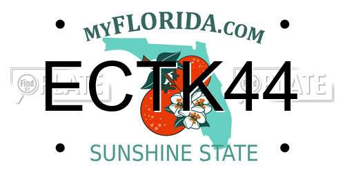 ECTK44 Florida License Plate