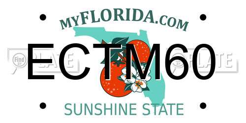 ECTM60 Florida License Plate