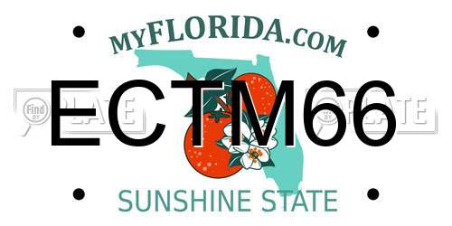 ECTM66 Florida License Plate