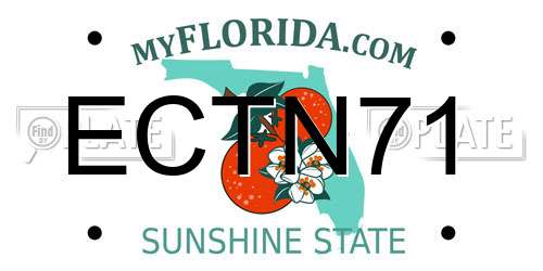 ECTN71 Florida License Plate