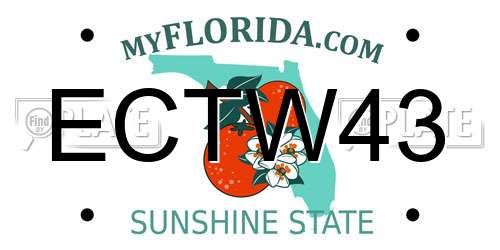 ECTW43 Florida License Plate