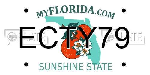 ECTY79 Florida License Plate