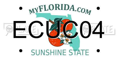 ECUC04 Florida License Plate