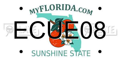 ECUE08 Florida License Plate