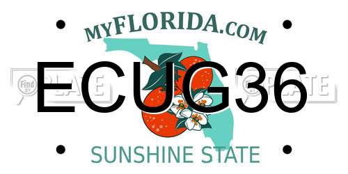 ECUG36 Florida License Plate