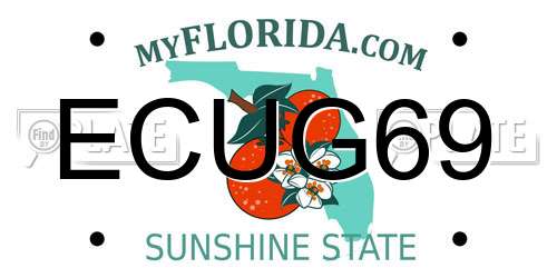 ECUG69 Florida License Plate
