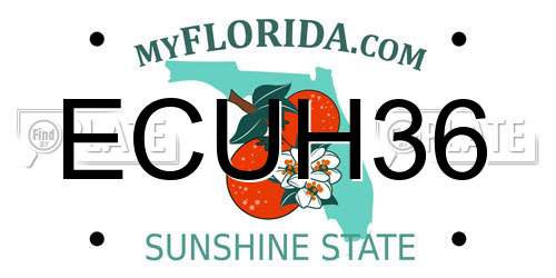 ECUH36 Florida License Plate