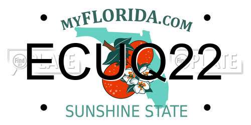 ECUQ22 Florida License Plate