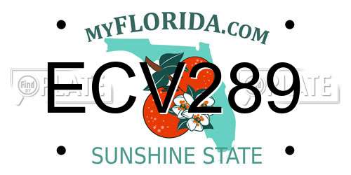 ECV289 Florida License Plate
