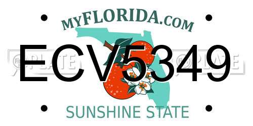 ECV5349 Florida License Plate