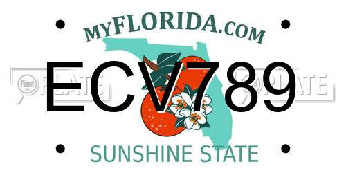 ECV789 Florida License Plate