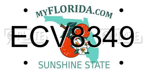 ECV8349 Florida License Plate