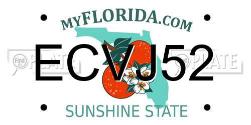ECVJ52 Florida License Plate