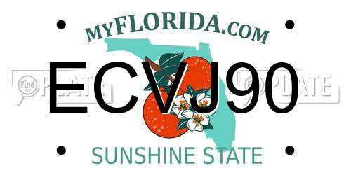 ECVJ90 Florida License Plate