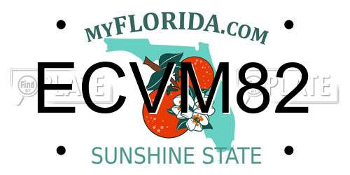 ECVM82 Florida License Plate