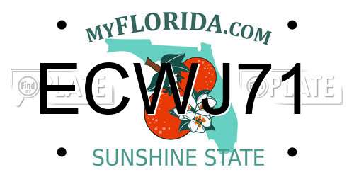 ECWJ71 Florida License Plate