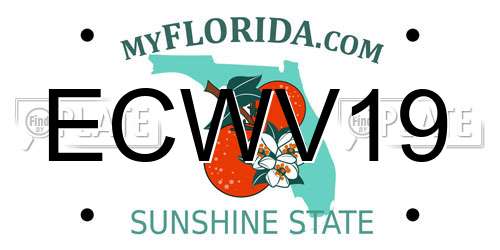 ECWV19 Florida License Plate