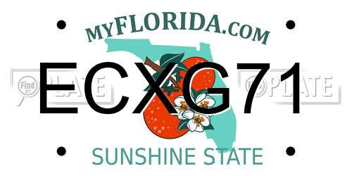 ECXG71 Florida License Plate