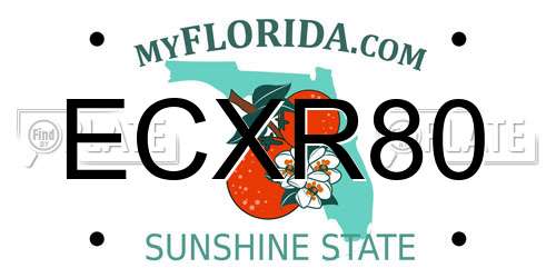 ECXR80 Florida License Plate