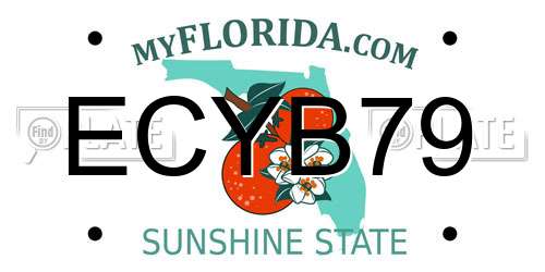 ECYB79 Florida License Plate