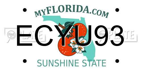 ECYU93 Florida License Plate