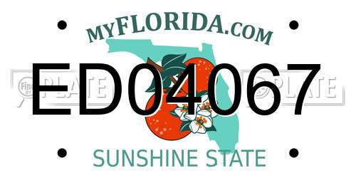 ED04067 Florida License Plate