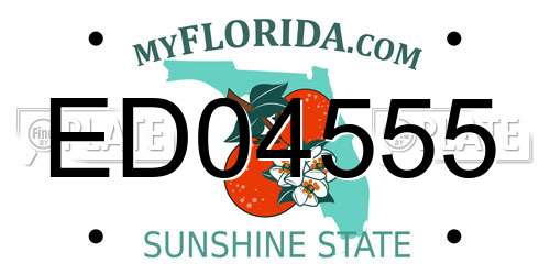 ED04555 Florida License Plate