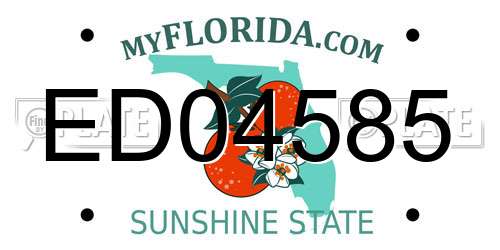 ED04585 Florida License Plate