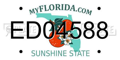 ED04588 Florida License Plate