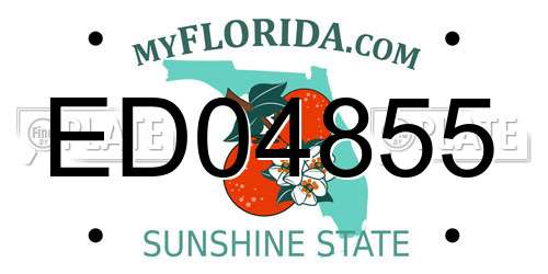 ED04855 Florida License Plate