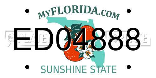 ED04888 Florida License Plate