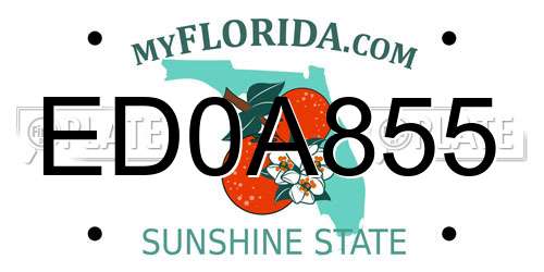 ED0A855 Florida License Plate