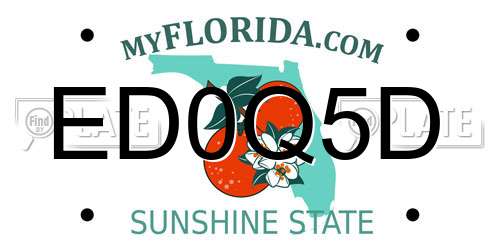 ED0Q5D Florida License Plate