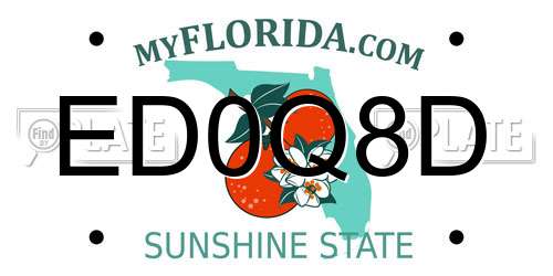 ED0Q8D Florida License Plate