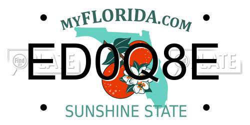 ED0Q8E Florida License Plate