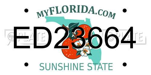 ED23664 Florida License Plate