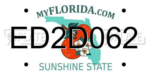 ED2D062 Florida License Plate