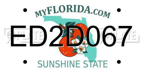 ED2D067 Florida License Plate