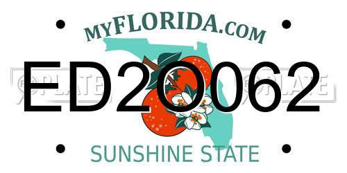 ED2O062 Florida License Plate