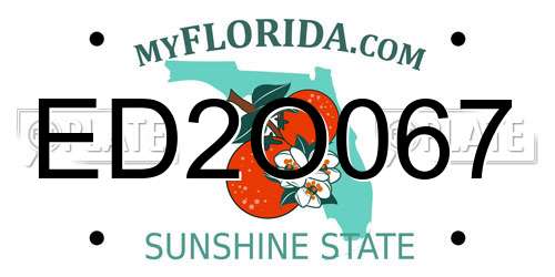 ED2O067 Florida License Plate