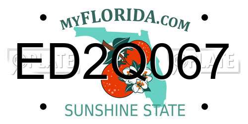 ED2Q067 Florida License Plate